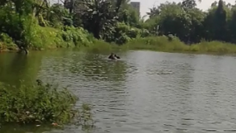 Helikopter Jatuh di Danau Buperta Depok, Tak Ada Korban Jiwa