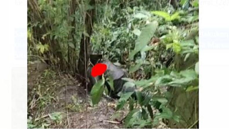 Terduga Pembunuh Gadis dalam Karung di Koha Minahasa Ditemukan Tinggal Tengkorak