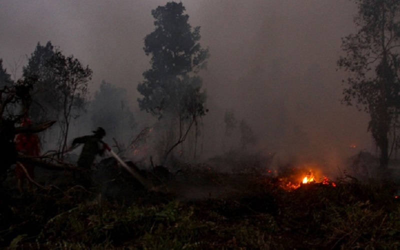 55 Persen Wilayah Indonesia Masuk Musim Kemarau, BMKG: Waspada Karhutla