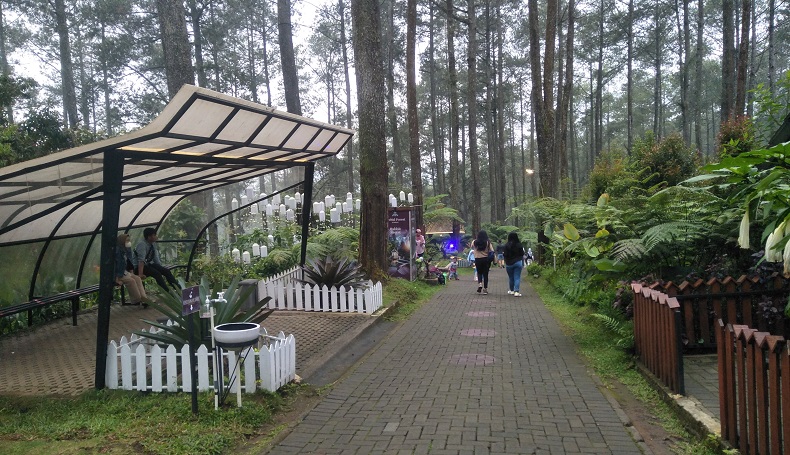 Bakal Rugi Rp60 Miliar, Pemerintah Diminta Hat-Hati Tutup Tempat Wisata 