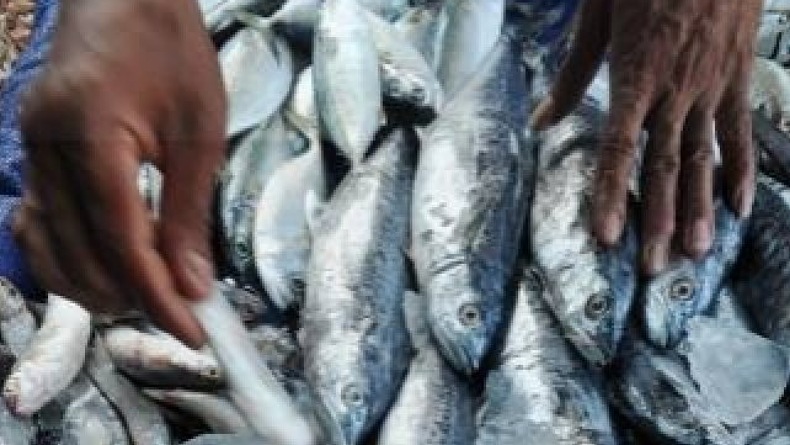 BPS: Manado Alami Deflasi 0,30 Persen di Mei, Dipicu Penurunan Harga Ikan
