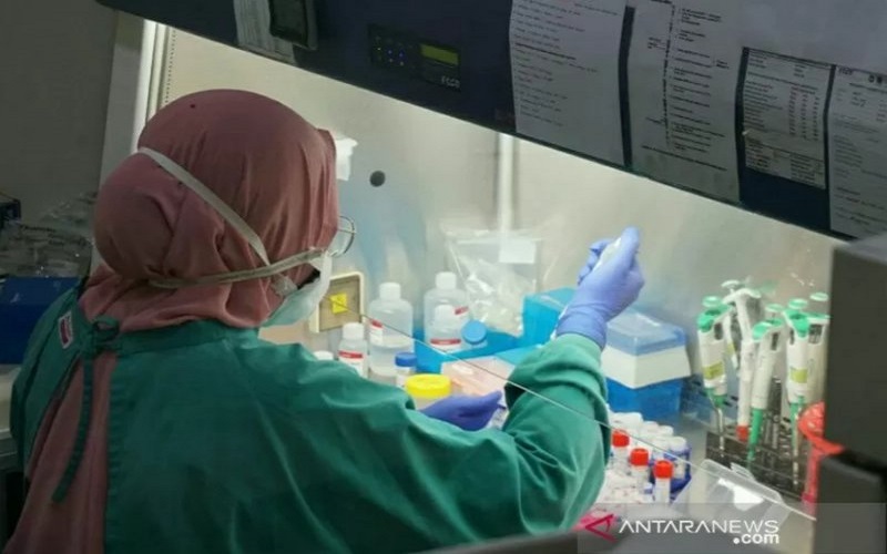 Covid Varian Baru Dicurigai Menyebar di Makassar akibat Klaster Pekerja Proyek