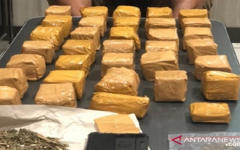 Setahun Edarkan Ganja di Sukabumi, Bandar Narkoba Ditangkap Polisi 