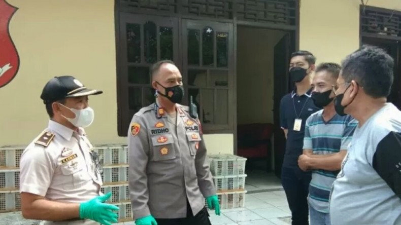 KSKP Bakauheni Gagalkan Penyelundupan 3.320 Burung dari Sumsel