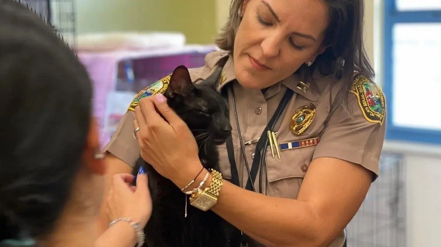 Alhamdulillah! Kucing Ini Selamat saat Gedung Ambruk di Florida, Ditemukan Setelah 2 Minggu