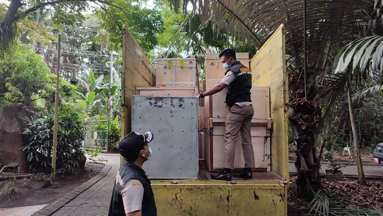 Bersama BKSDA, Karantina Pertanian Manado Translokasi 107 Satwa Endemik Papua