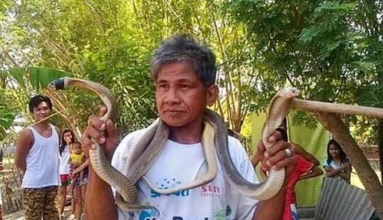  Sesumbar Kebal Racun Ular, Pria Ini Tewas Digigit Kobra Tepat di Lidah