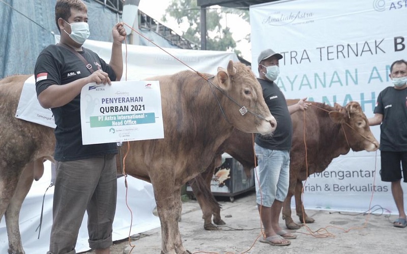 Grup Astra Serahkan 2.379 Hewan Kurban Ke 34 Provinsi