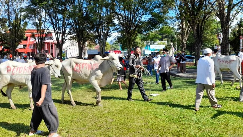 Idul Adha, Wakil Wali Kota Manado Richard Sualang Serahkan 42 Sapi Kurban ke Warga