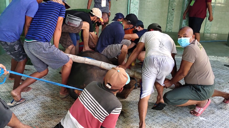 RPH Terbatas, Permohonan Izin Pemotongan Hewan Kurban Membeludak