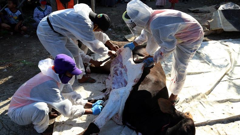 23 Warga Pandak Bantul Positif Covid-19, Usai Sembelih Hewan Kurban