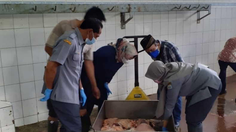 Kondisi Hewan Kurban yang Disembelih di Salatiga Rata-rata Sehat 