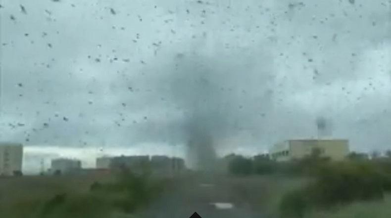 Ngeri, Jutaan Nyamuk Jantan Ini Berkumpul Membentuk Tornado 