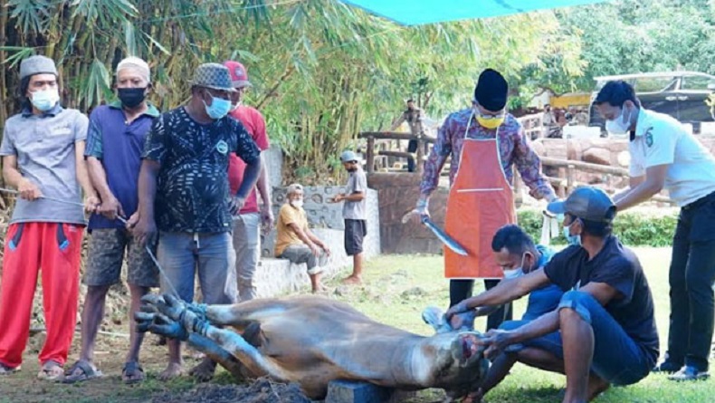 Doa Menyembelih Hewan Kurban dan Tata Caranya Sesuai Sunnah