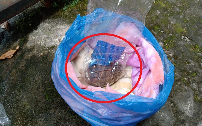 Bersihkan Rumah Kakak, IRT di Danau Sipin Kaget Temukan Granat Nanas Aktif di Teras