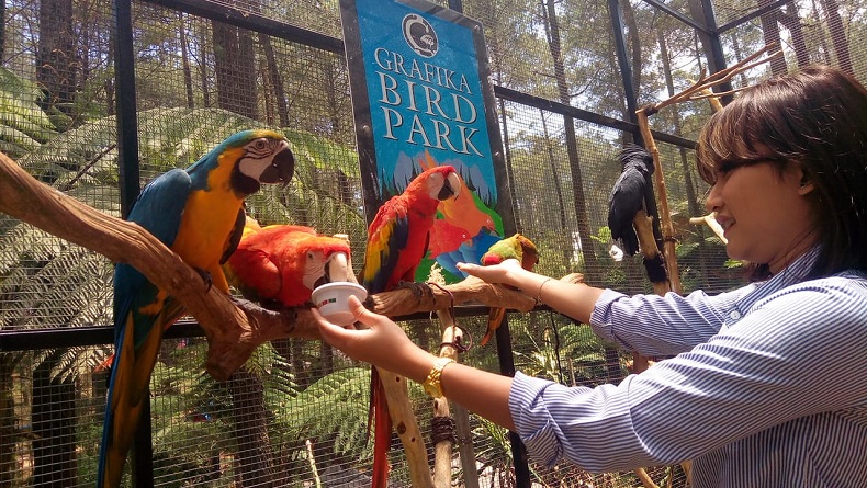 Dampak Pandemi, Pemilik Objek Wisata di KBB Jual 12 Burung Macaw untuk Gaji Karyawan