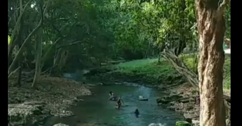 Indahnya Underwater di Tengah Hutan Bojonegoro, Air Jernih dan Sejuk