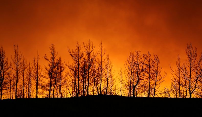 Turki Tetapkan Kebakaran Hutan sebagai Bencana Nasional, 3 Orang Tewas