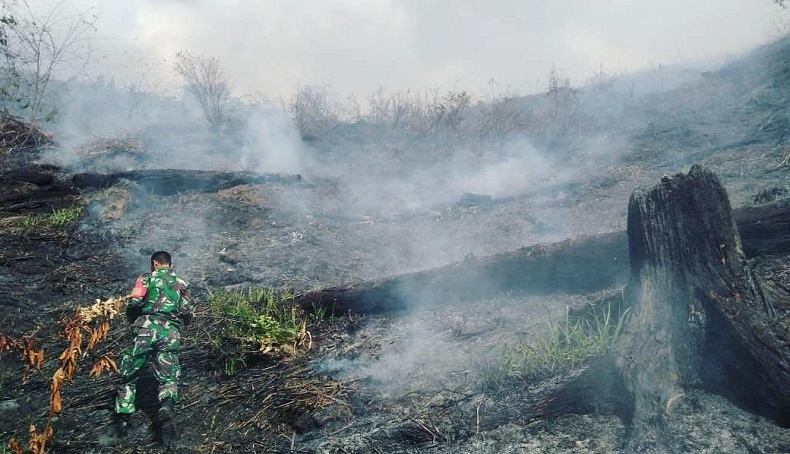 Karhutla di Aceh Tengah Hanguskan 13 Hektare Lahan Warga