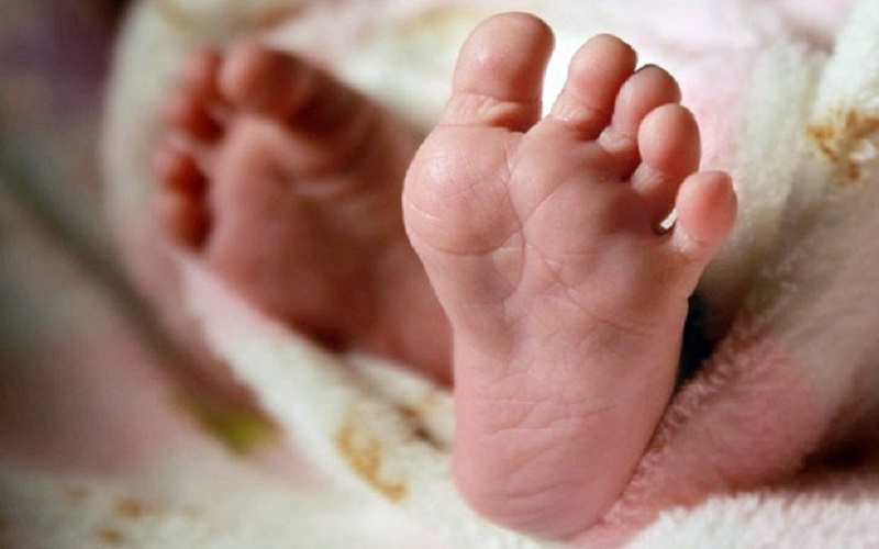 Cara Membuat Kartu Identitas Anak