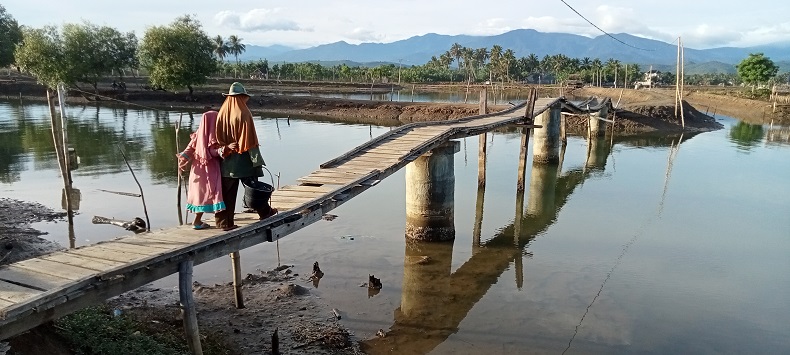 Jembatan Penyeberangan Nelayan di Pidie Jaya Rusak Parah, Rawan Kecelakaan 