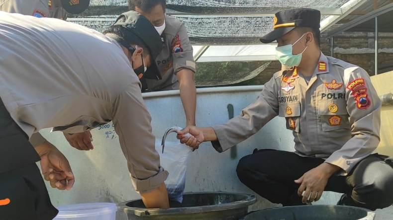 Sukses Budi Daya Ikan, Polsek di Sukoharjo Ini Bagikan Hasil Panen ke Warga Terdampak Pandemi 