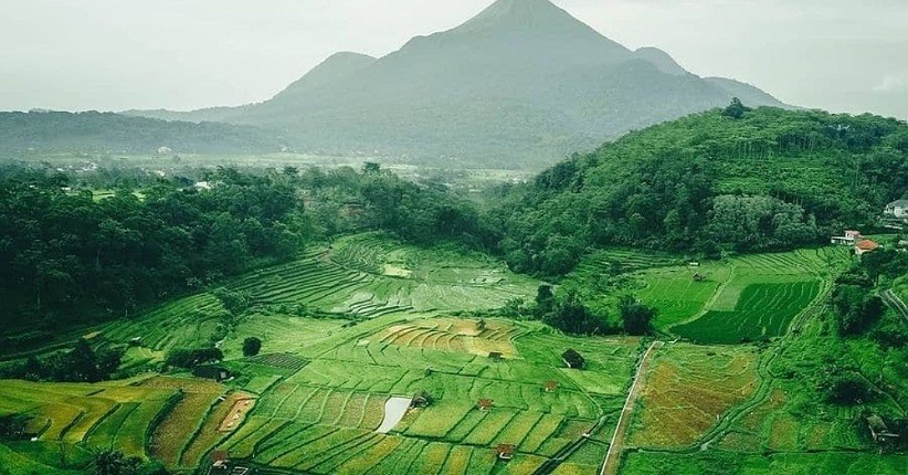 Indahnya Destinasi Wisata Sumber Gempong Mojokerto, Suasana Sejuk Mirip Ubud