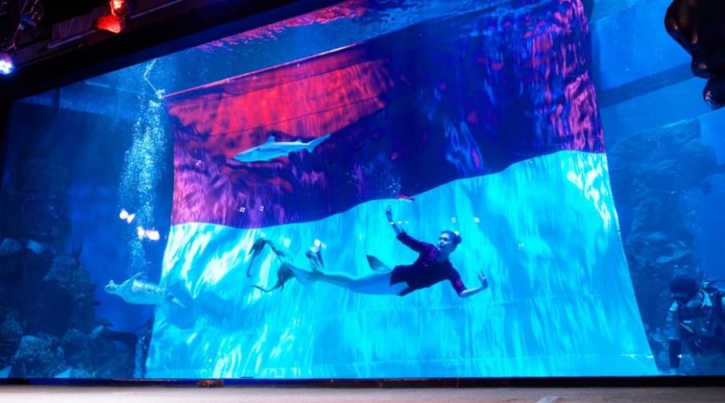Rayakan Kemerdekaan, Ada Pengibaran Bendera Raksasa dan Putri Duyung di Aquarium Taman Safari 