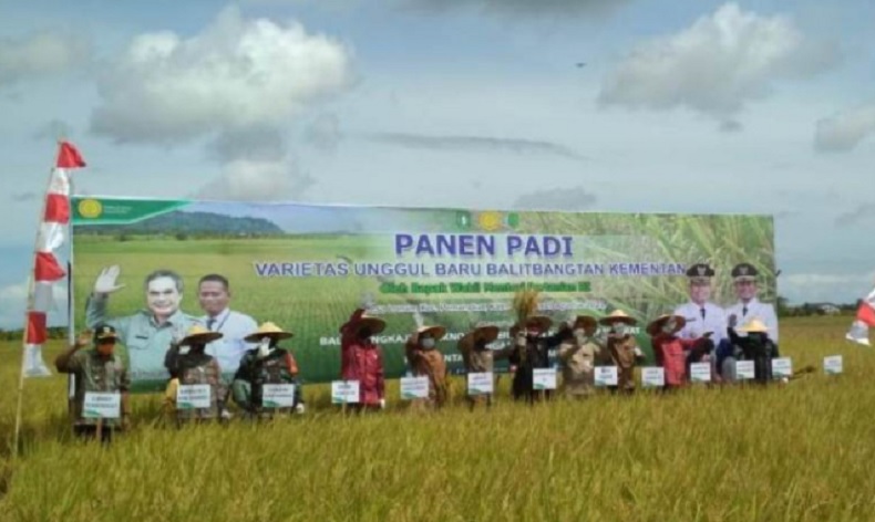 Kalbar Ditarget Jadi Lumbung Pangan di Luar Jawa