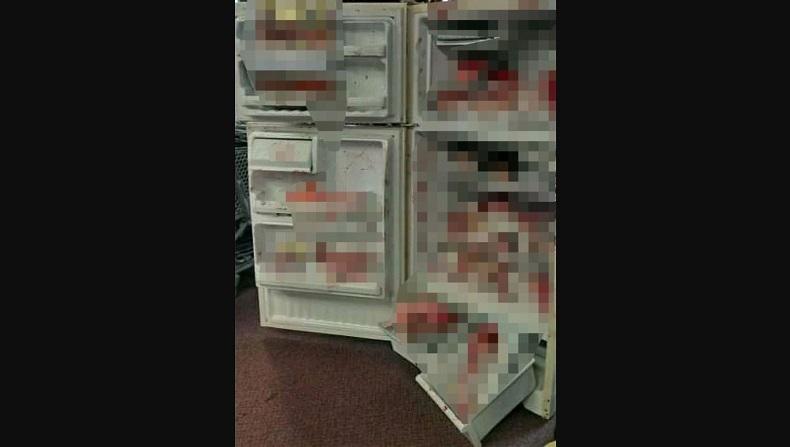Mengerikan, 2 Kepala dan Potongan Tubuh Manusia Ditemukan Dalam Kulkas 