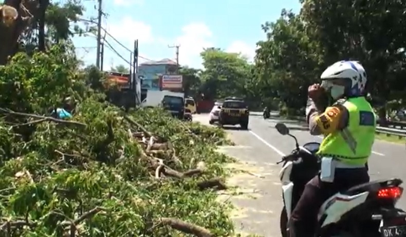 Polisi di Bali Kena Prank Pohon Tumbang di Jalan Bypass Ida Bagus Mantra