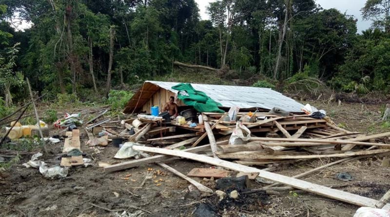 Rumah Petani di Aceh Timur Hancur Diamuk Kawanan Gajah
