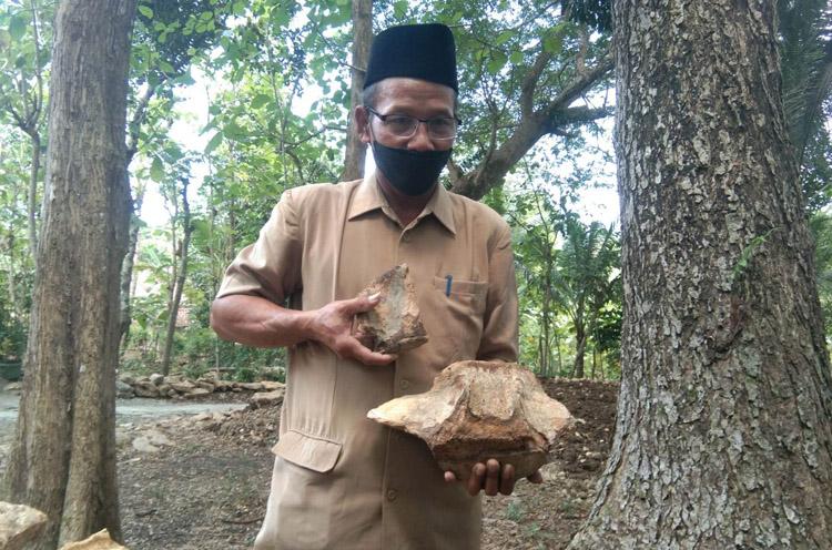 Warga Kulonprogo Temukan Batu Kuno yang Diduga Fosil Binatang Purba
