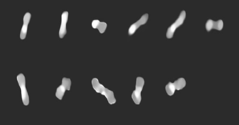  Asteroid Aneh Berbentuk Tulang Mengitari Matahari
