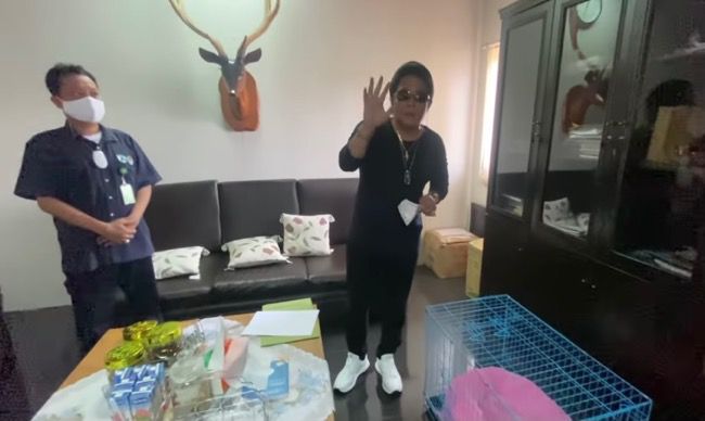Sempat Dikritik Sherina dan Manohara, Bupati Badung Serahkan Owa Siamang ke BKSDA Bali