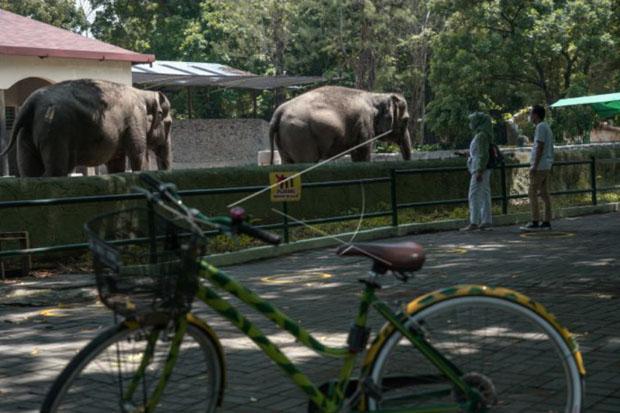  Dalam Sehari Gembira Loka Zoo Tolak Seratusan Pengunjung 