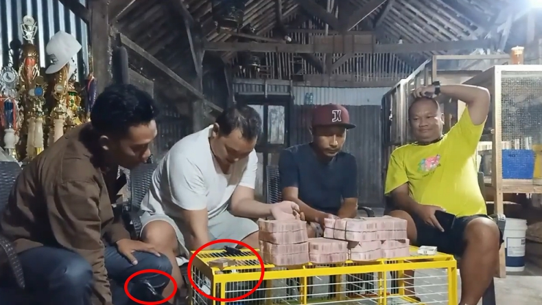 Pembeli Merpati Jaguar dari Jakarta, Bawa Duit Rp1,5 Miliar Pakai Kantong Kresek Hitam