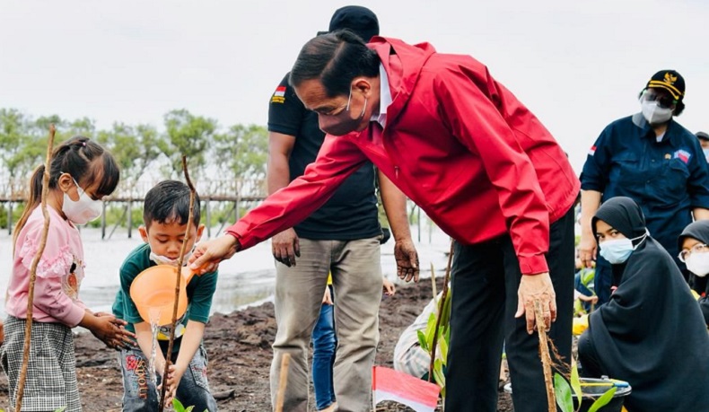 Jokowi Tegaskan Rehabilitasi Mangrove Akan Terus Dilakukan