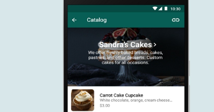 Cara Broadcast WhatsApp Business ke Banyak Orang