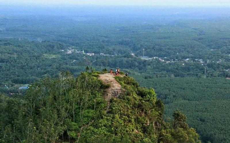 5 Tempat Wisata di Labuhan Batu Sumatera Utara yang Bisa Memanjakan Mata