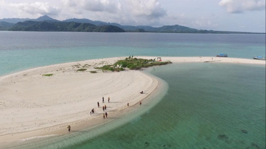 15 Tempat Piknik di Gresik Jawa Timur, Ada Hutan Mangrove yang Sejuk