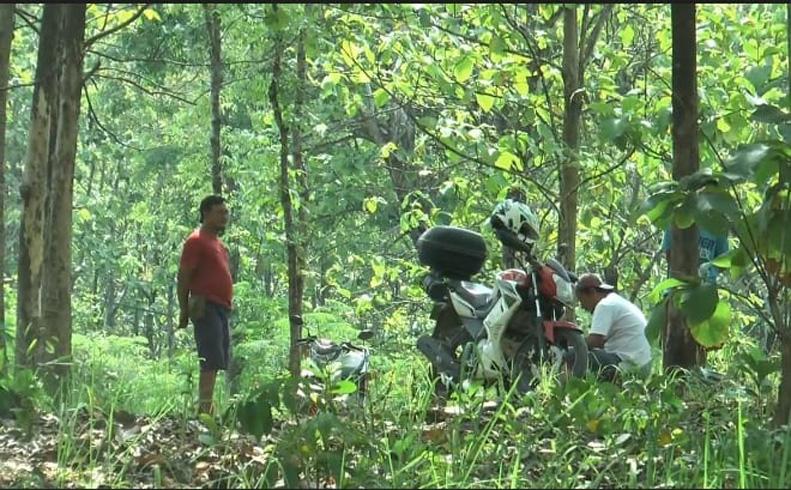 Grobogan Gempar, Mayat Perempuan Telanjang Terbungkus Plastik Hitam Tergeletak di Hutan