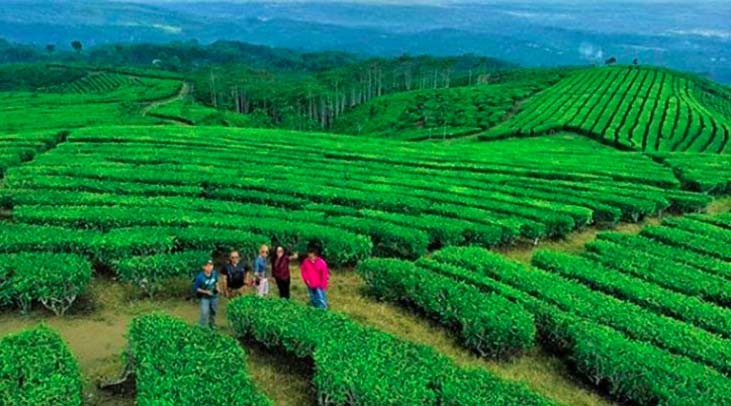 7 Tempat Wisata di Lumajang Harus Dikunjungi, Nomor 4 Konon Jadi Tempat Tinggal Para Dewa