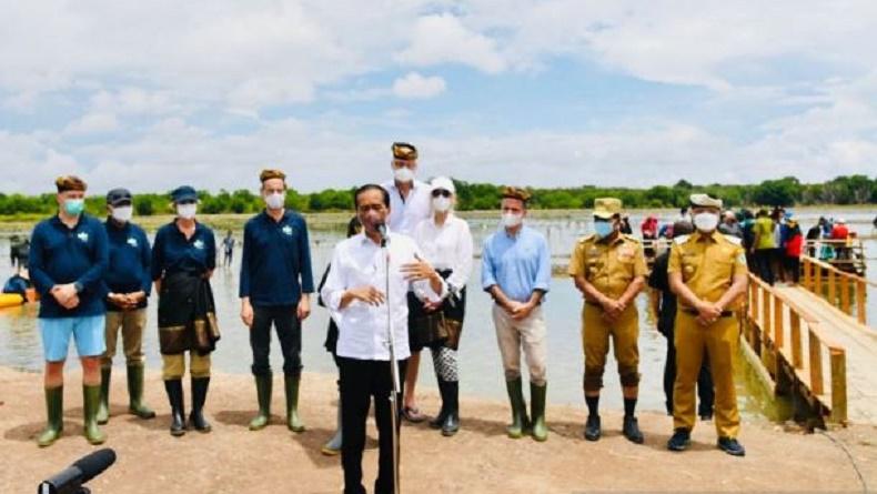 Kunjungi Kaltara, Jokowi Targetkan Rehabilitasi 600.000 Hektare Hutan Mangrove