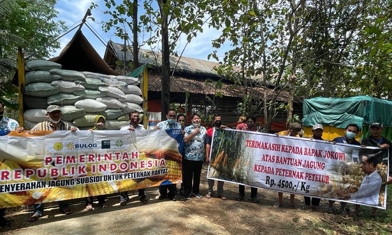 BULOG Siap Laksanakan Penugasan Penyediaan dan Penyaluran Jagung