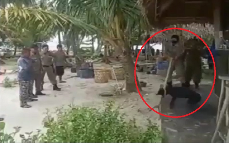 Ini Detik-Detik Satpol PP Aceh Evakuasi Anjing Peliharaan yang Akhirnya Mati