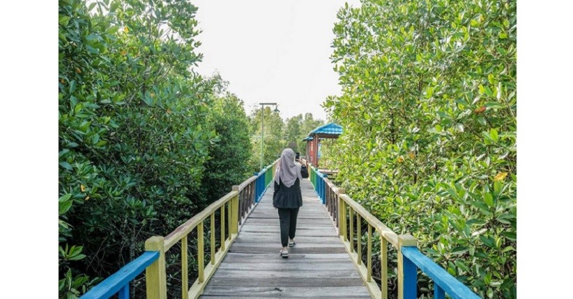 Indahnya Taman Wisata Mangrove Klawalu di Tanah Papua, Banyak Spot Instagramable