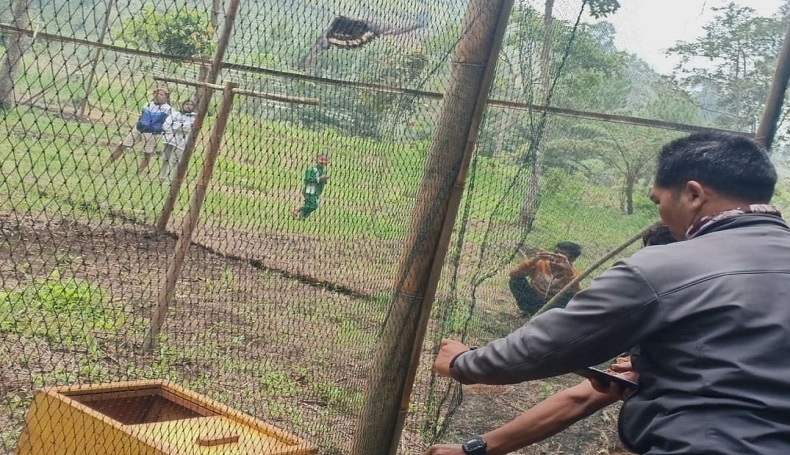 Dilepasliarkan, Ini Penghuni Baru di Taman Nasional Gunung Ciremai Majalengka