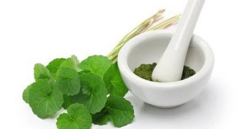 Lagi Tren Perawatan Kecantikan ala Korea dengan Bahan Alami Daun Pegagan