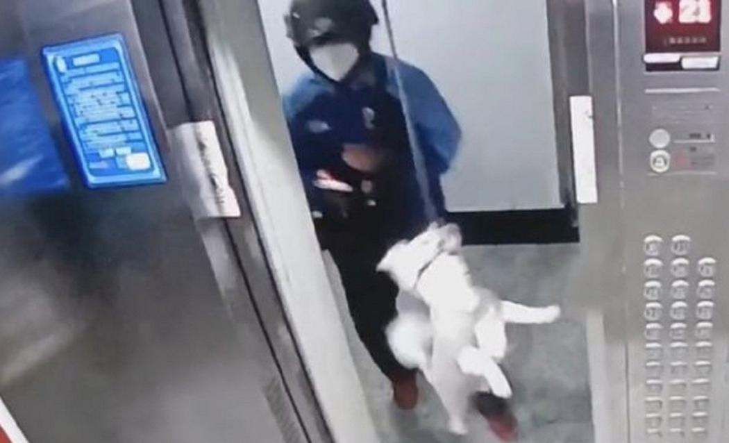 Heroik! Kurir Makanan Selamatkan Anjing yang Tercekik di Lift